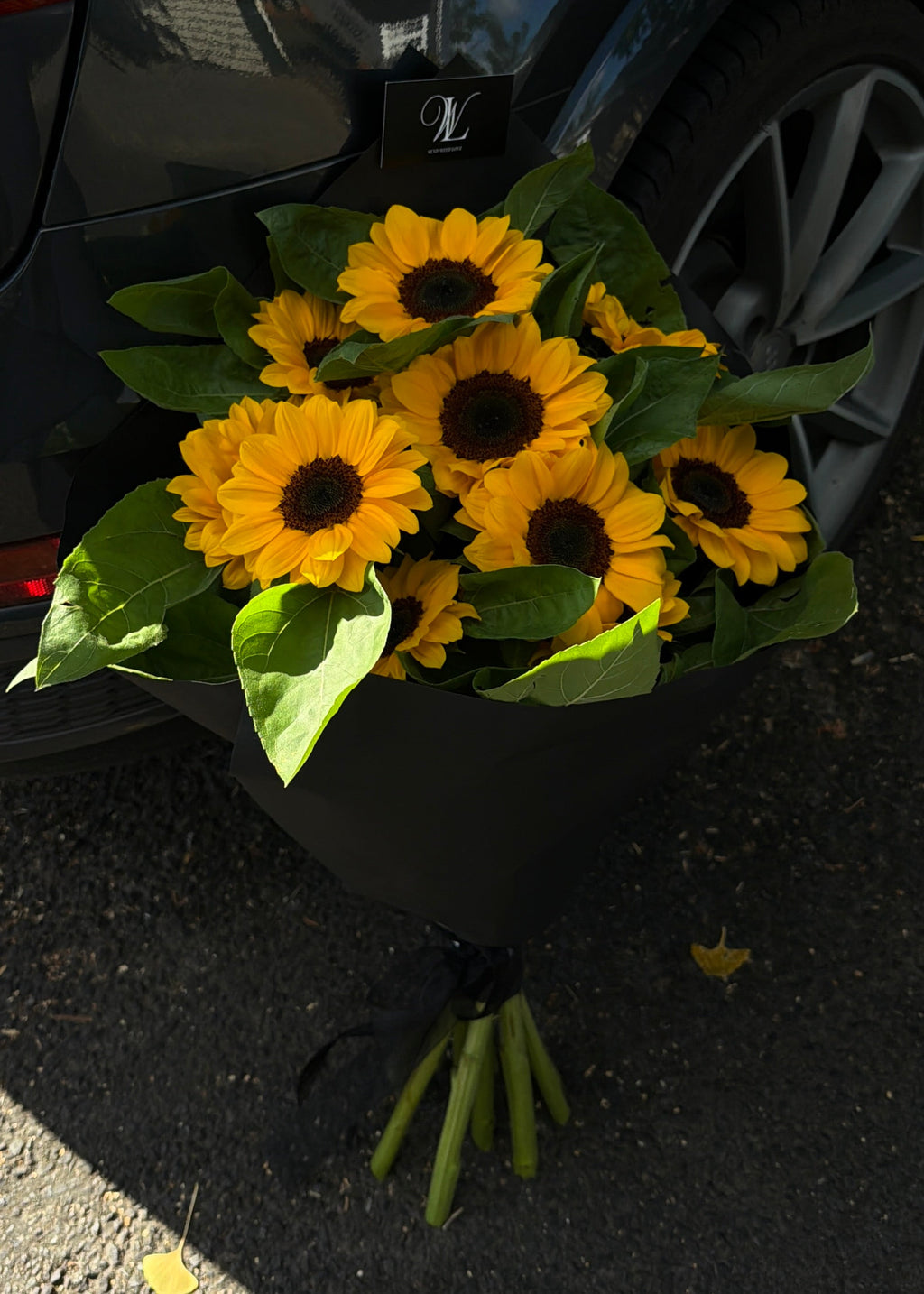 Sunflowers🌻
