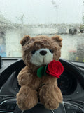 Teddy Bear Rose
