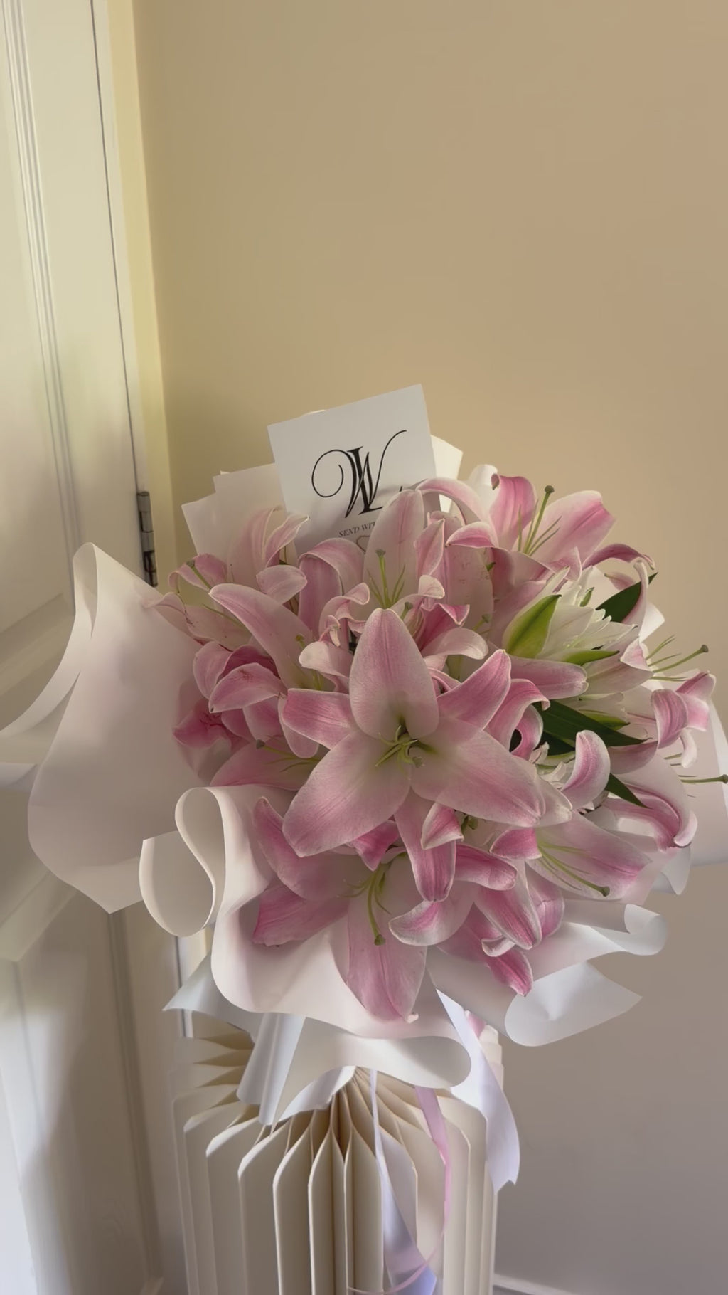 Lilly dream